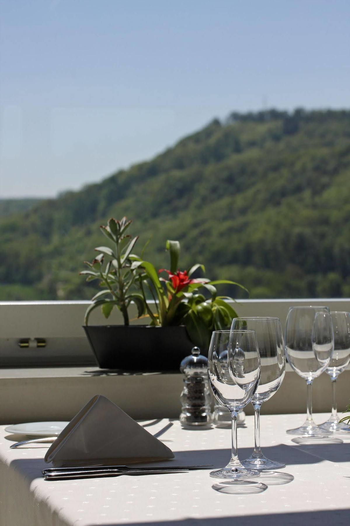 Wellness Hotel Tenedo - Thermalquellen Resort Bad Bad Zurzach Exterior foto